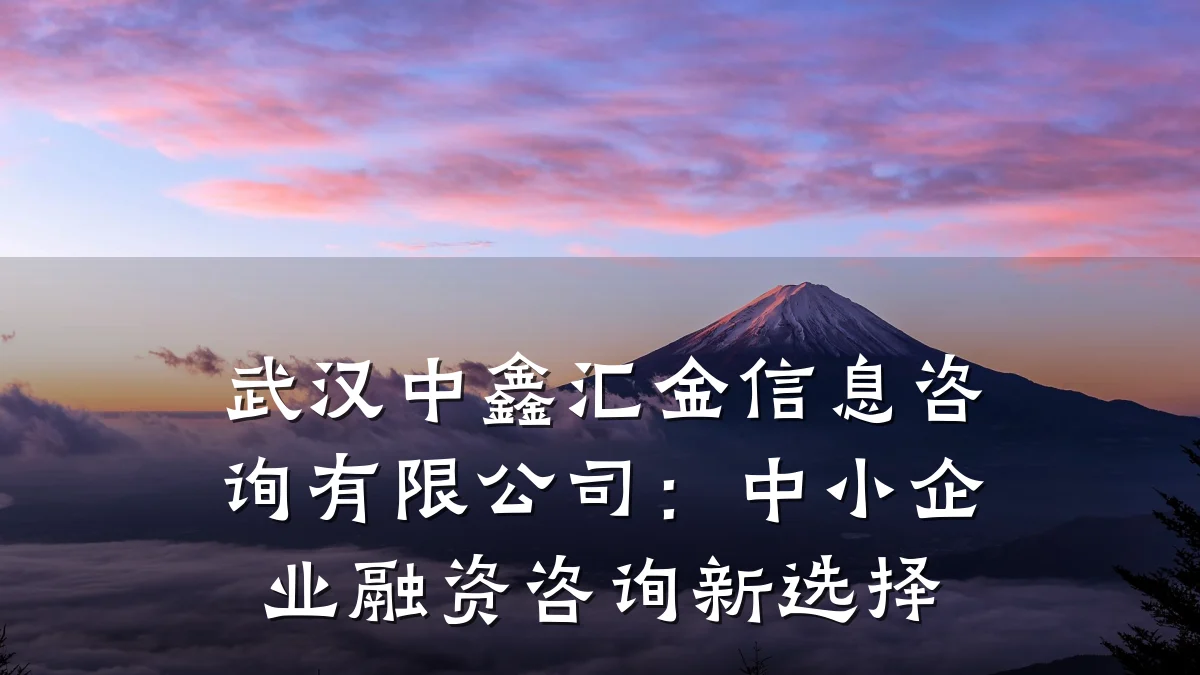 武汉中鑫汇金信息咨询有限公司：中小企业融资咨询新选择