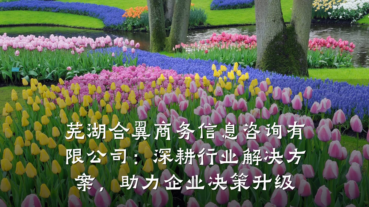 芜湖合翼商务信息咨询有限公司：深耕行业解决方案，助力企业决策升级