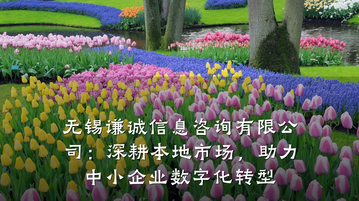 无锡谦诚信息咨询有限公司：深耕本地市场，助力中小企业数字化转型