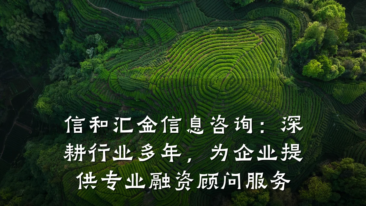 信和汇金信息咨询：深耕行业多年，为企业提供专业融资顾问服务
