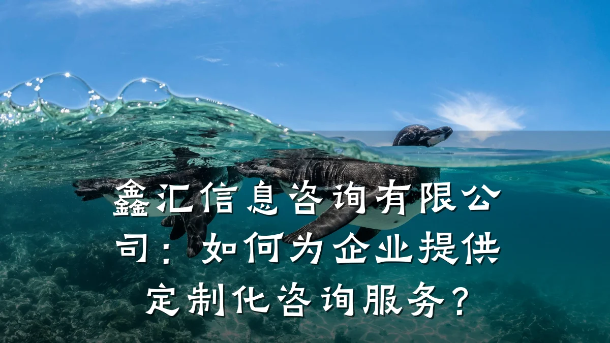 鑫汇信息咨询有限公司：如何为企业提供定制化咨询服务？