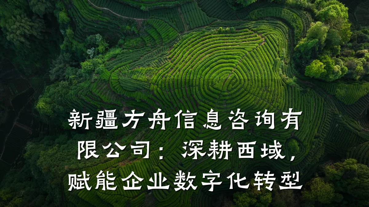 新疆方舟信息咨询有限公司：深耕西域，赋能企业数字化转型