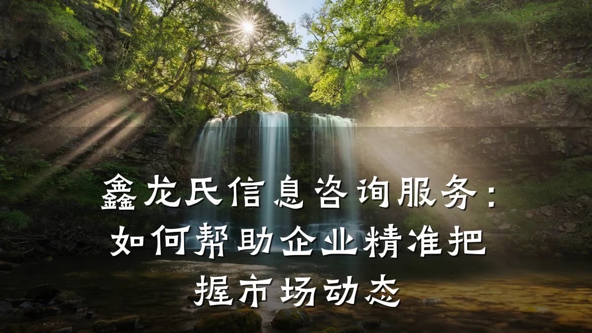 鑫龙氏信息咨询服务：如何帮助企业精准把握市场动态