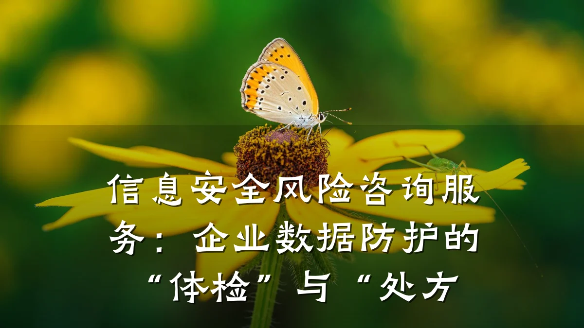 信息安全风险咨询服务：企业数据防护的“体检”与“处方