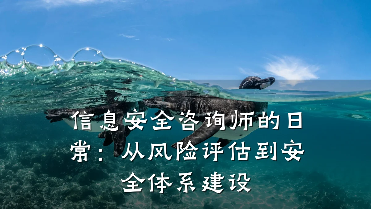 信息安全咨询师的日常：从风险评估到安全体系建设