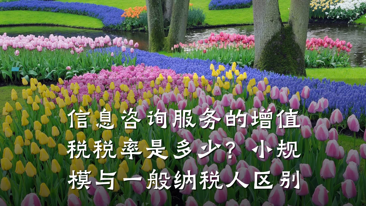 信息咨询服务的增值税税率是多少？小规模与一般纳税人区别