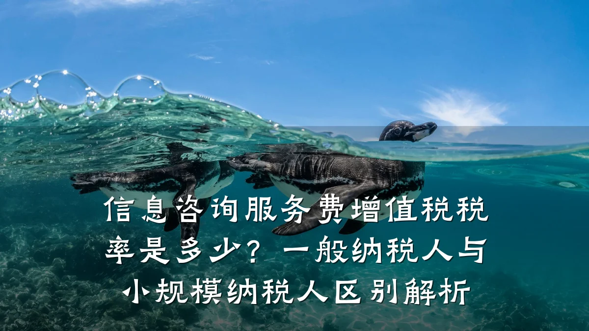 信息咨询服务费增值税税率是多少？一般纳税人与小规模纳税人区别解析