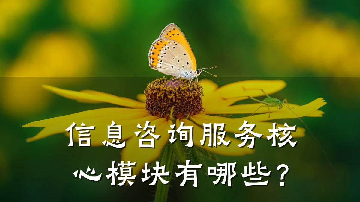 信息咨询服务核心模块有哪些？