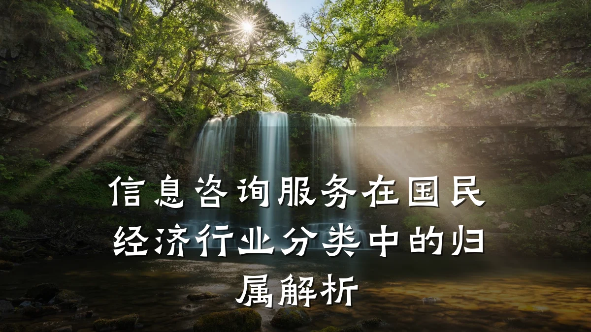 信息咨询服务在国民经济行业分类中的归属解析