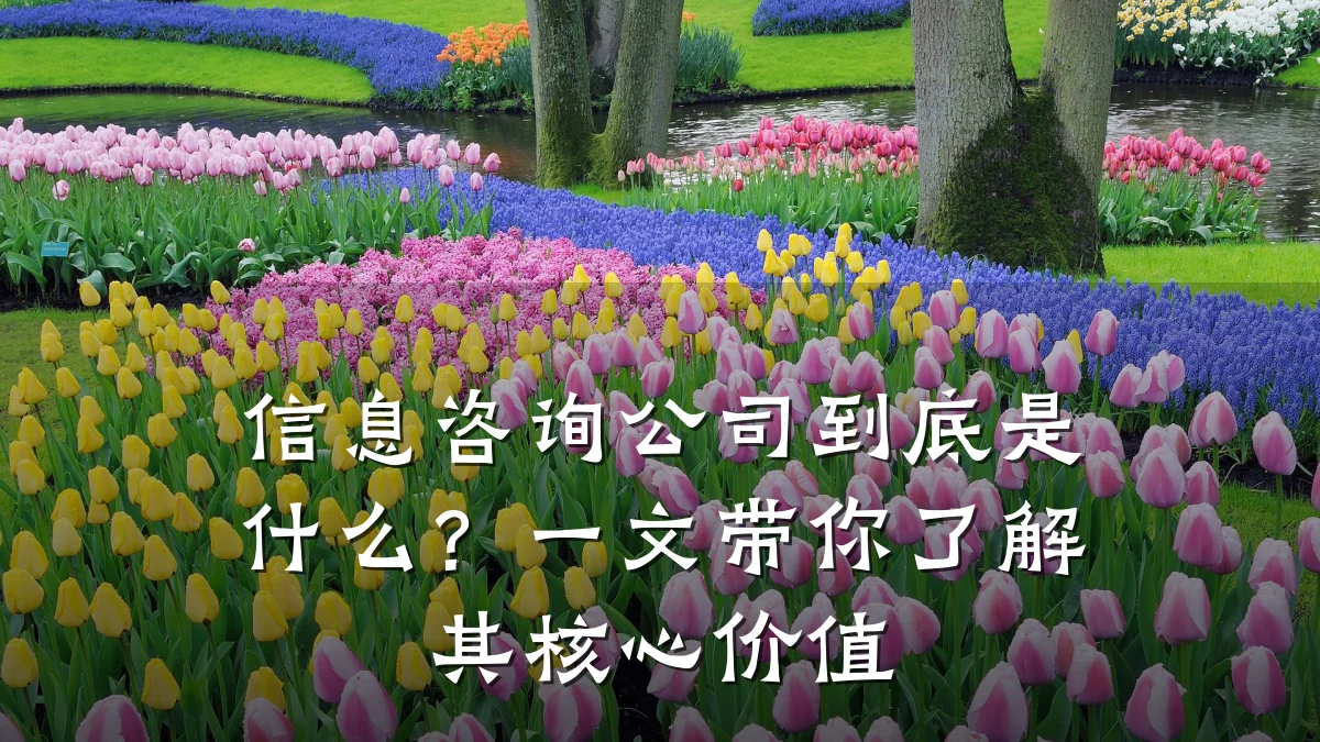 信息咨询公司到底是什么？一文带你了解其核心价值