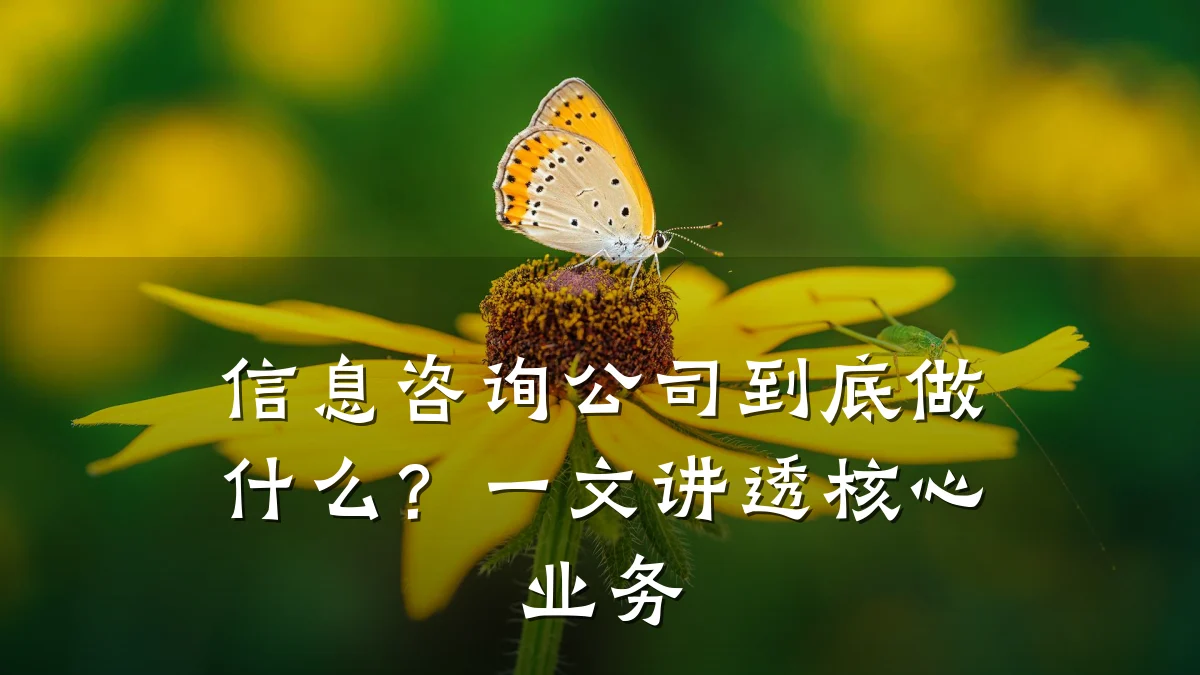 信息咨询公司到底做什么？一文讲透核心业务