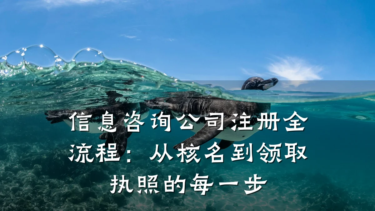 信息咨询公司注册全流程：从核名到领取执照的每一步
