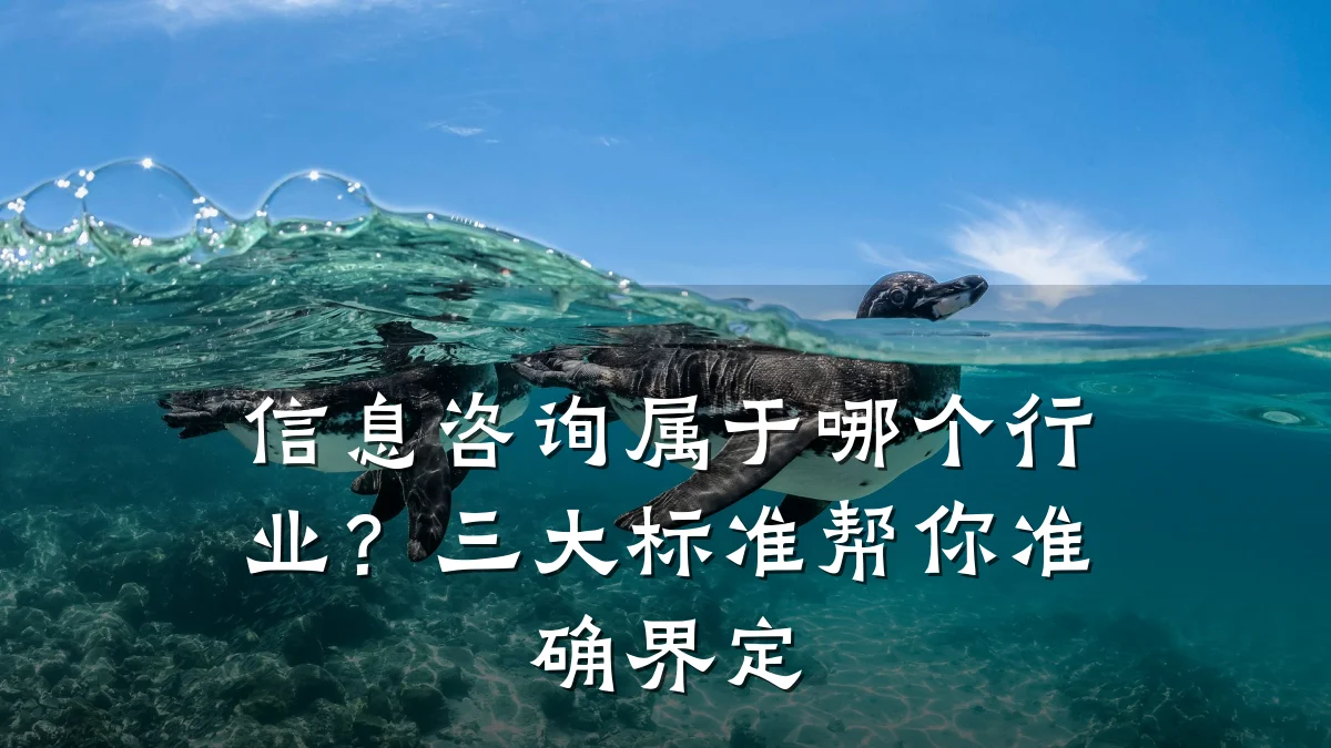 信息咨询属于哪个行业？三大标准帮你准确界定