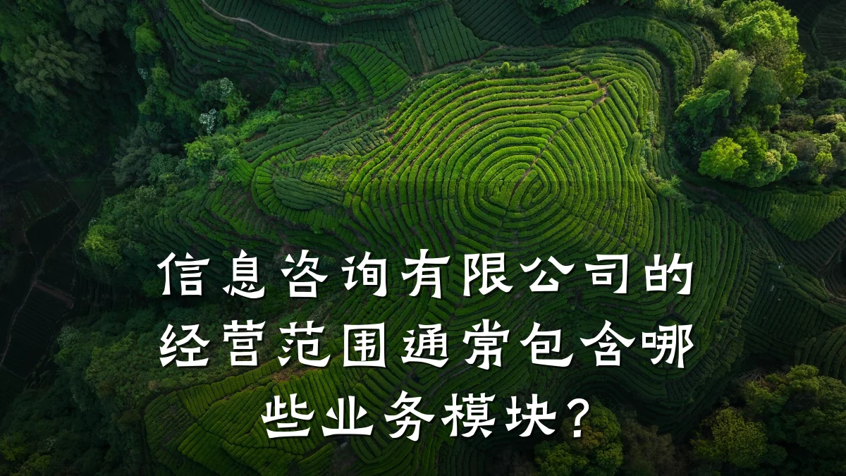 信息咨询有限公司的经营范围通常包含哪些业务模块？