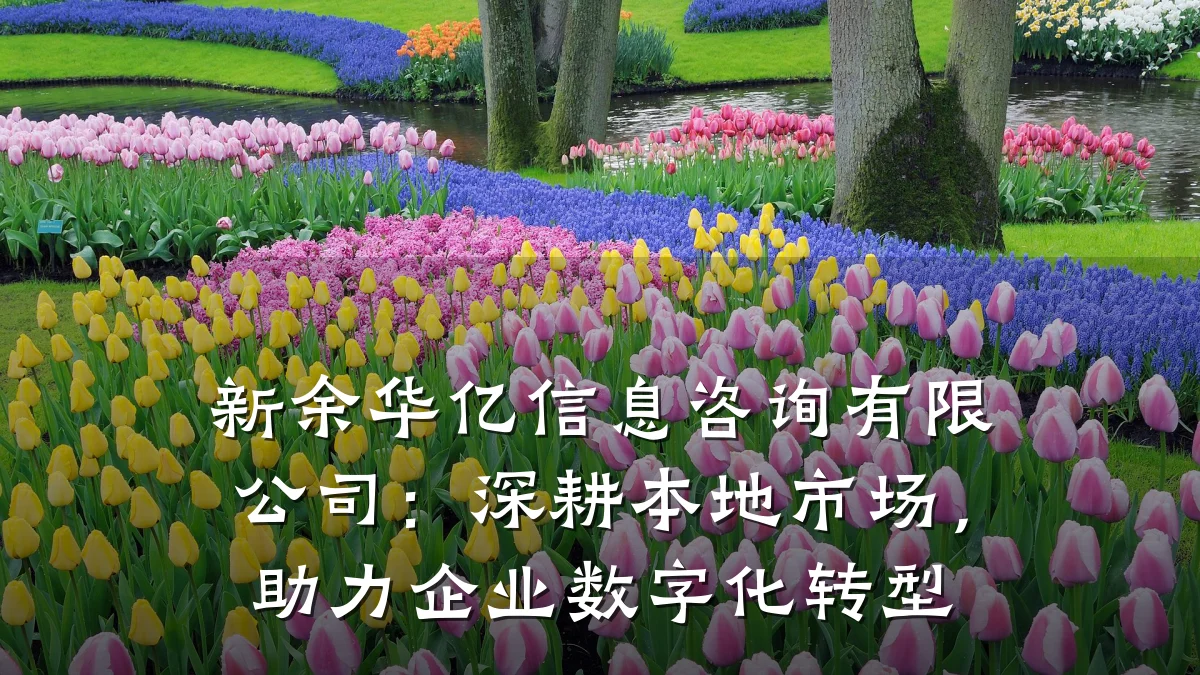 新余华亿信息咨询有限公司：深耕本地市场，助力企业数字化转型