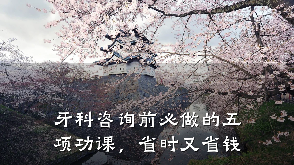 牙科咨询前必做的五项功课，省时又省钱