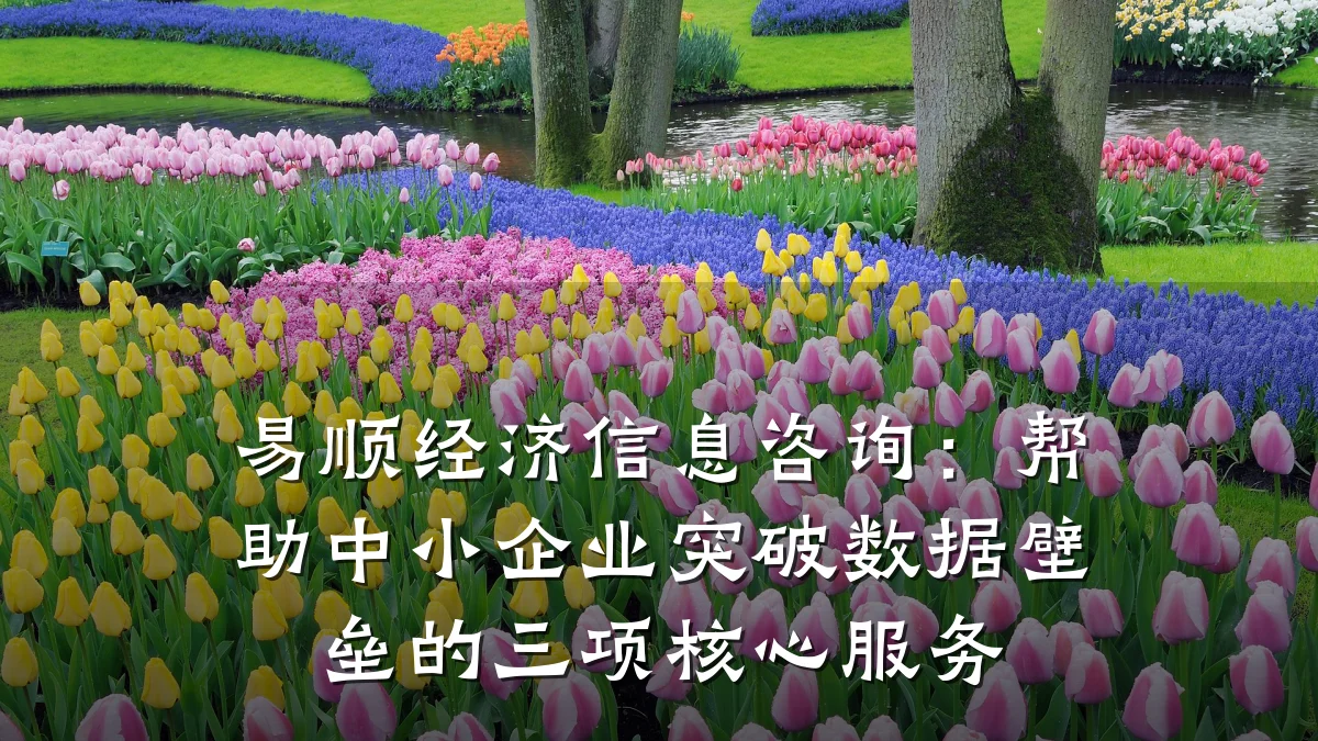 易顺经济信息咨询：帮助中小企业突破数据壁垒的三项核心服务