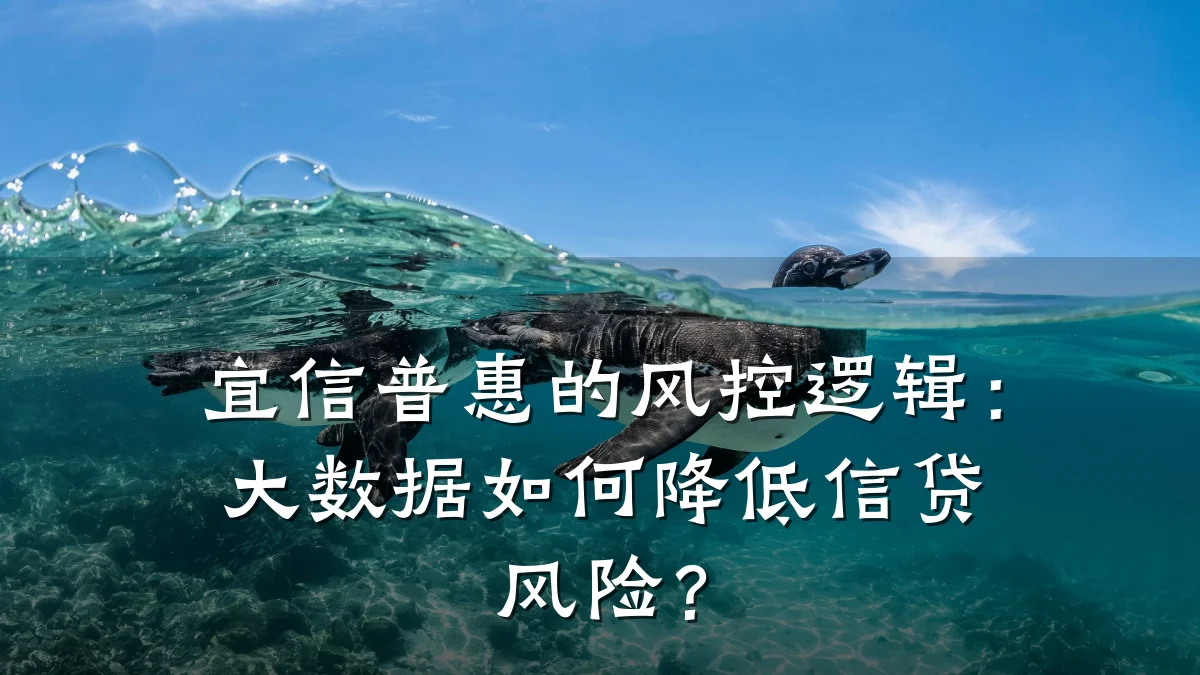 宜信普惠的风控逻辑：大数据如何降低信贷风险？