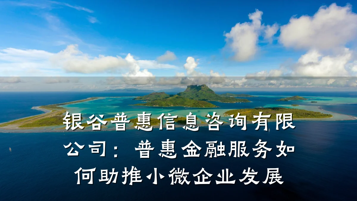 银谷普惠信息咨询有限公司：普惠金融服务如何助推小微企业发展