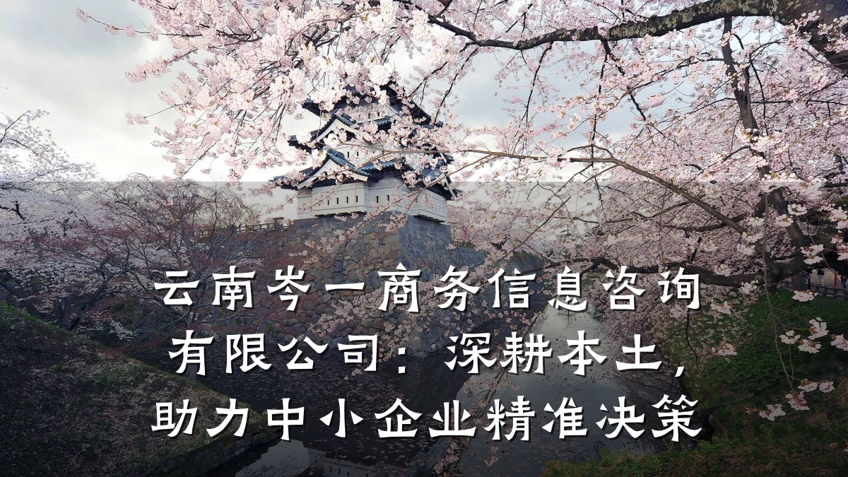 云南岑一商务信息咨询有限公司：深耕本土，助力中小企业精准决策