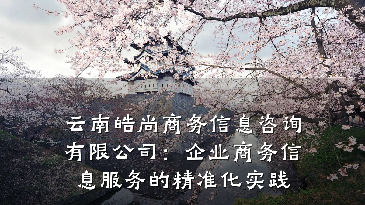 云南皓尚商务信息咨询有限公司：企业商务信息服务的精准化实践