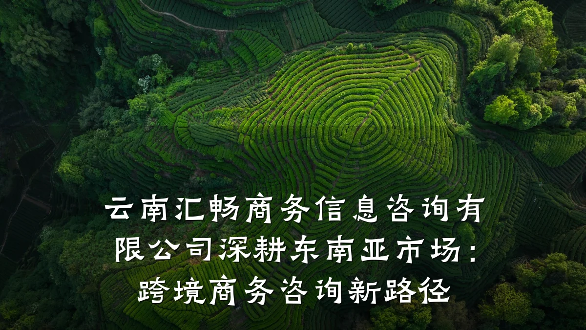 云南汇畅商务信息咨询有限公司深耕东南亚市场：跨境商务咨询新路径