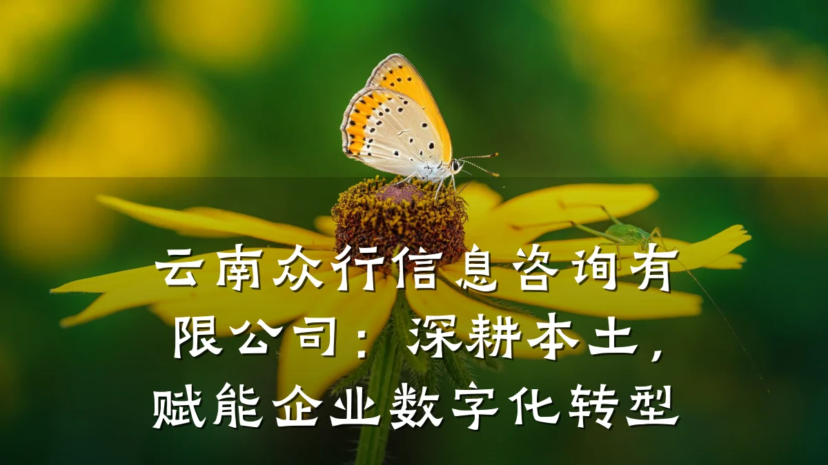 云南众行信息咨询有限公司：深耕本土，赋能企业数字化转型