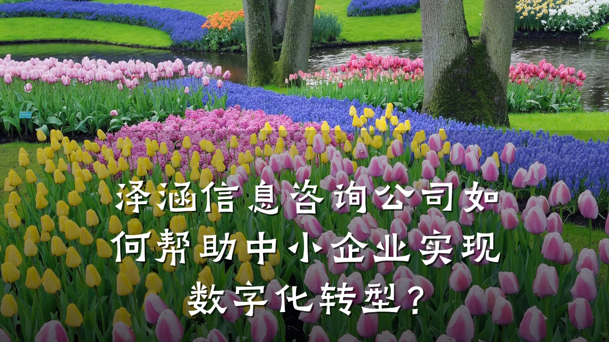泽涵信息咨询公司如何帮助中小企业实现数字化转型？