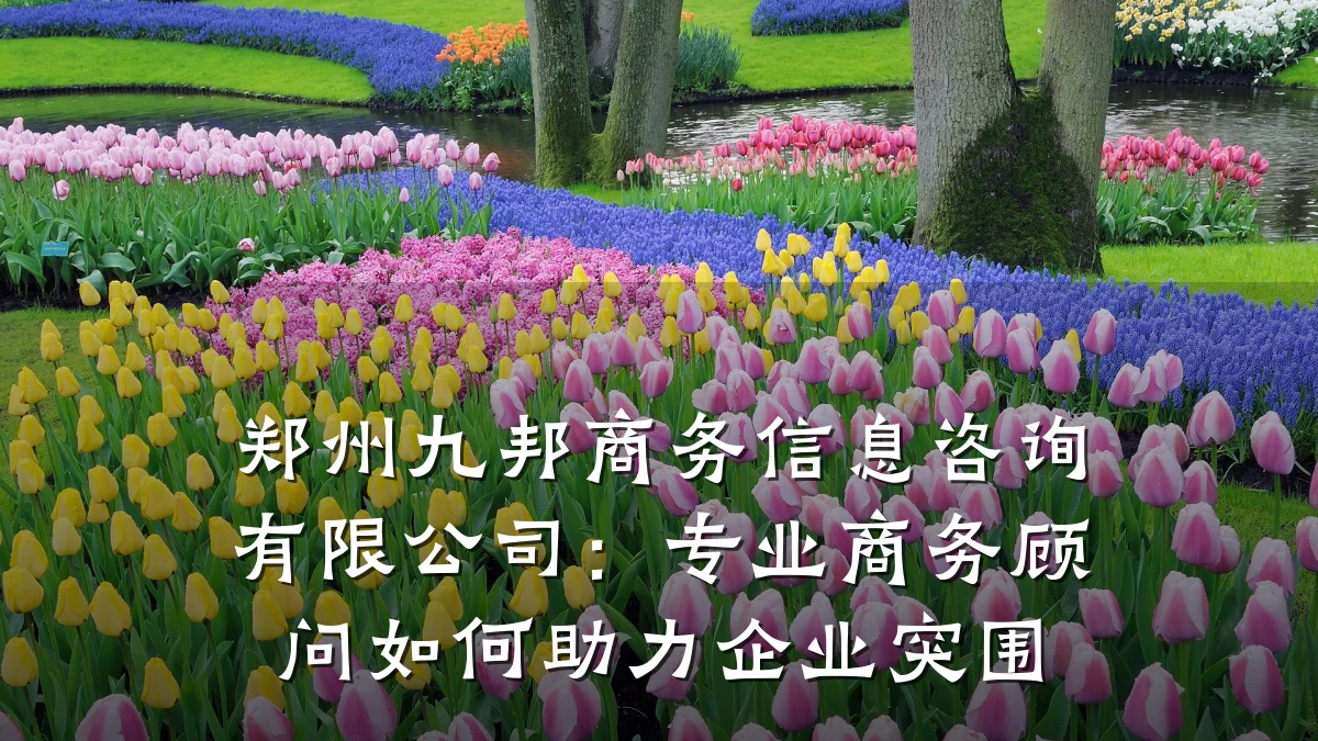 郑州九邦商务信息咨询有限公司：专业商务顾问如何助力企业突围