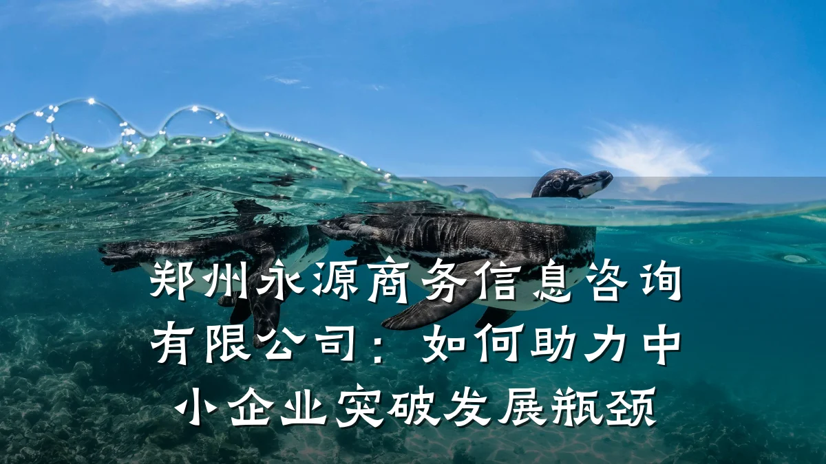 郑州永源商务信息咨询有限公司：如何助力中小企业突破发展瓶颈