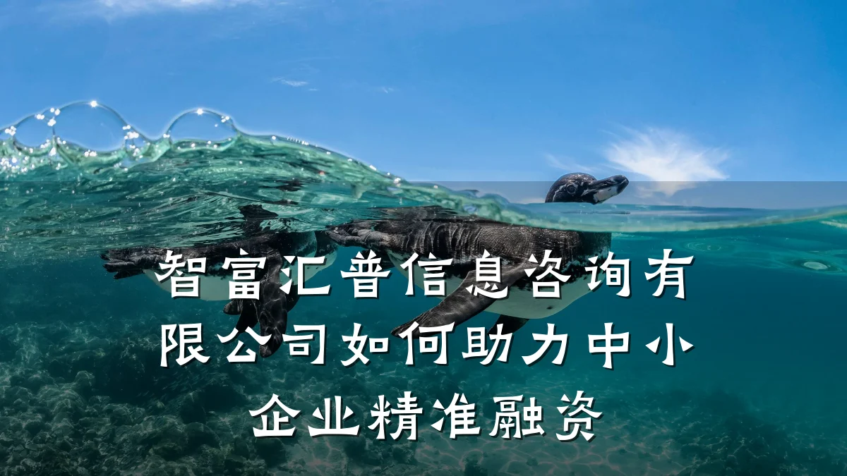 智富汇普信息咨询有限公司如何助力中小企业精准融资