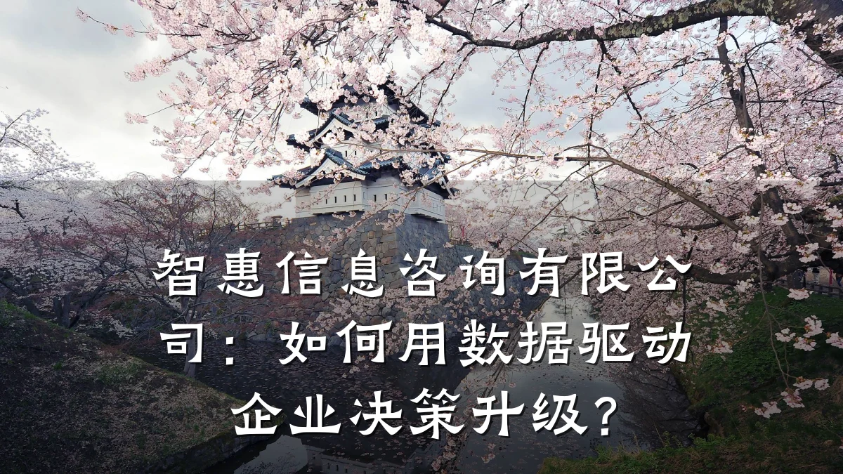 智惠信息咨询有限公司：如何用数据驱动企业决策升级？