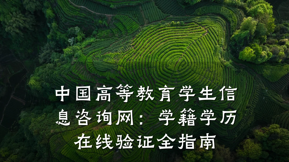 中国高等教育学生信息咨询网：学籍学历在线验证全指南