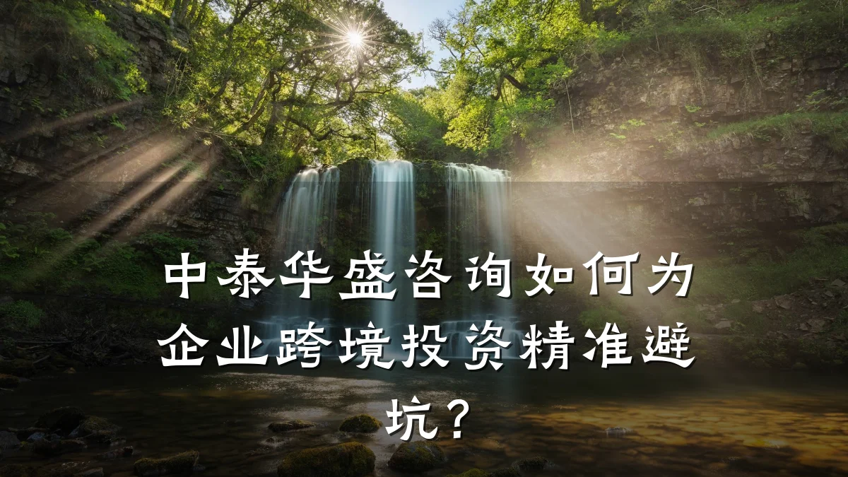 中泰华盛咨询如何为企业跨境投资精准避坑？