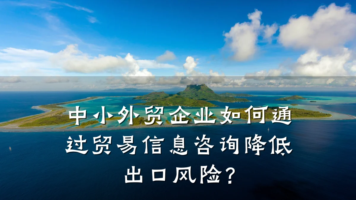 中小外贸企业如何通过贸易信息咨询降低出口风险？