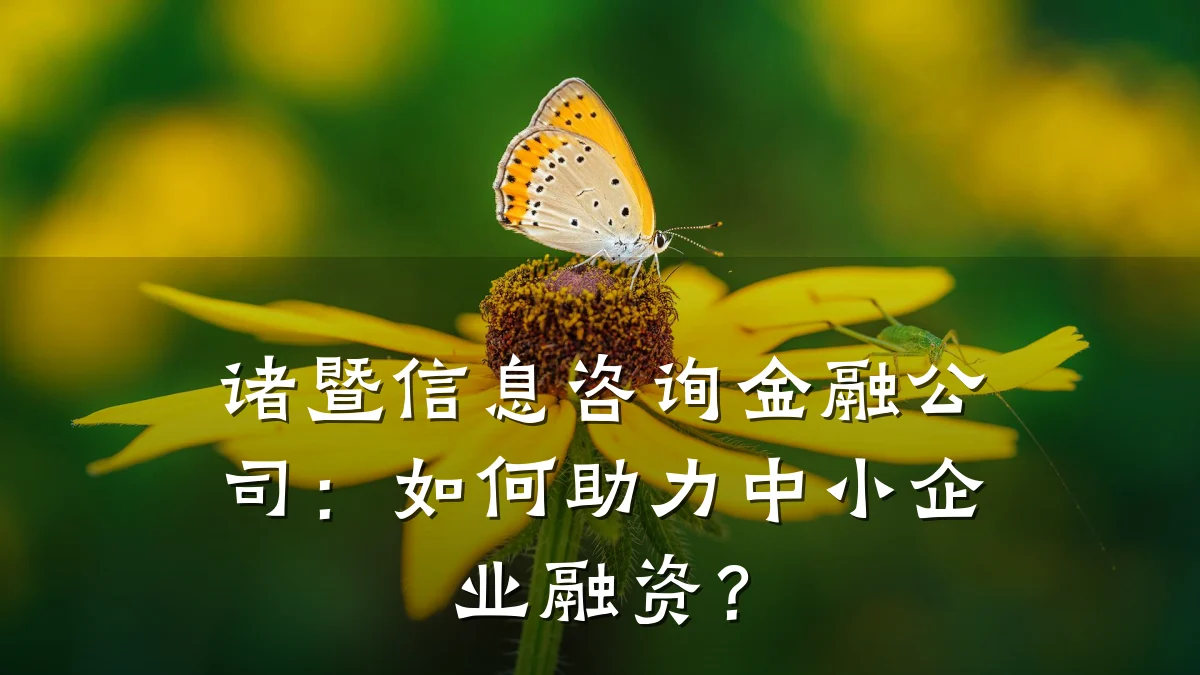 诸暨信息咨询金融公司：如何助力中小企业融资？